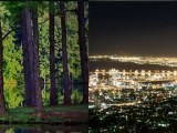 Evaluating And Enhancing Video Captioning Models